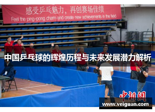 中国乒乓球的辉煌历程与未来发展潜力解析