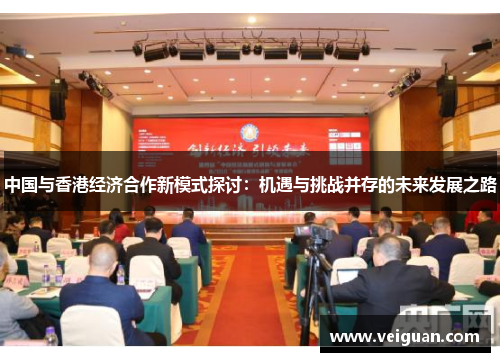 中国与香港经济合作新模式探讨：机遇与挑战并存的未来发展之路