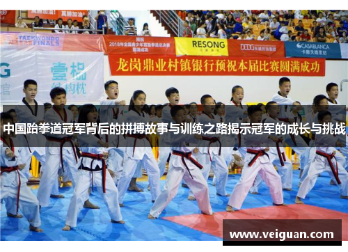中国跆拳道冠军背后的拼搏故事与训练之路揭示冠军的成长与挑战